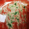 （官窑）豇豆紅綠苔點葫蘆瓶一對（清 康熙）：圖片 6